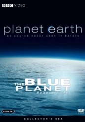 Купить сериал BBC Голубая Планета на DVD