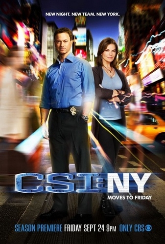 CSI Место преступления Нью Йорк 8 сезон