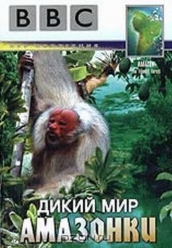 Купить Дикий мир Амазонки на dvd