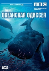 Купить BBC: Океанская одиссея на dvd