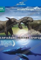 Купить BBC: Величайшие явления природы на dvd