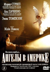 Купить Ангелы в Америке DivX на dvd